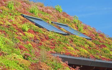 Awsworth living roof systems