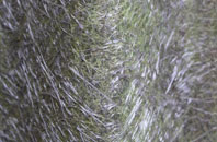 Awsworth fibreglass roof work